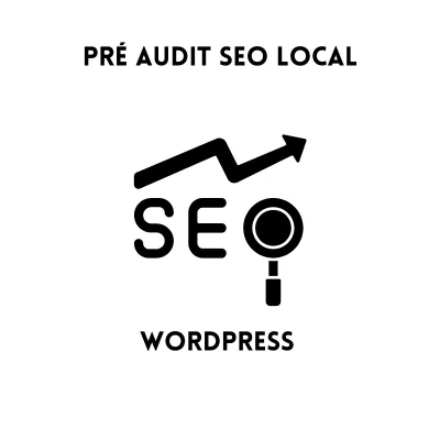 PRE AUDIT SEO LOCAL